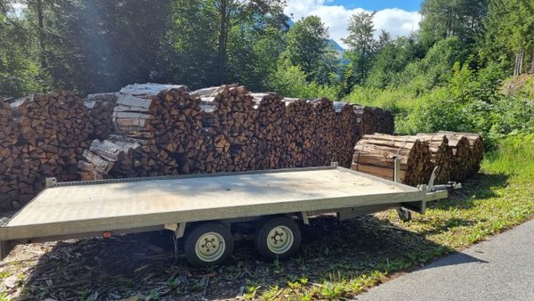 벌목한 나무들을 실어나르는 길이다.