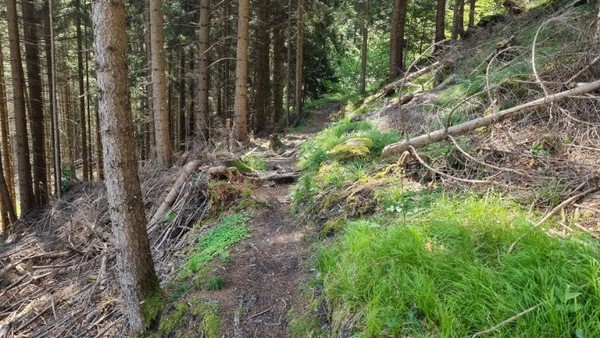 구글에서 안내하지 않는 산길이자 지름길로 접어들기도 한다.