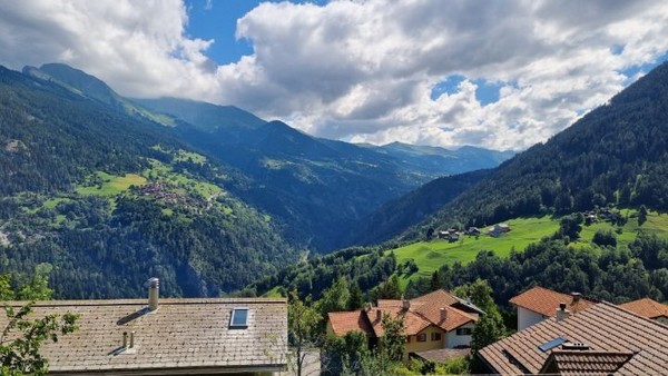 지나고 보니 벌목길과 산길은 예외적인 코스였다. 이제부터는 순탄한 찻길이다.