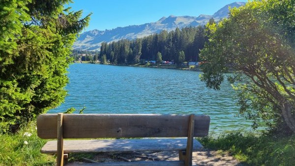 이 벤치에서 명상하는 시간도 갖는다.