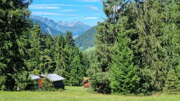 숲사이로 보이는 능선경치를,