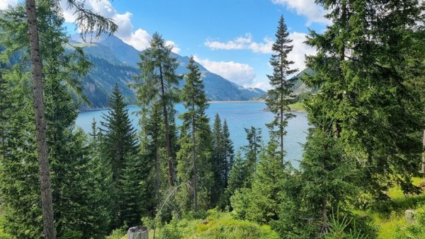 인공댐이지만 알프스의 경관과 절묘하게 어울린다.