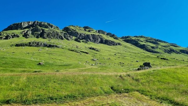점차 경사가 급해지고 정상에 가까워지고 있다. 산봉우리가 아니라, 능선의 정상인 고개가.