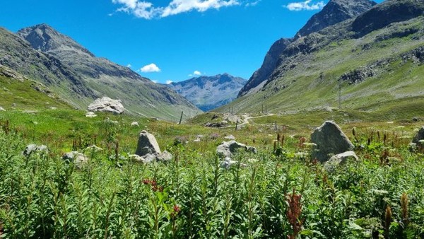 고개주변의 풍광