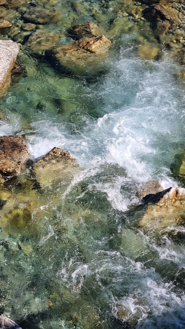 시원한 물에 발도 담근다.