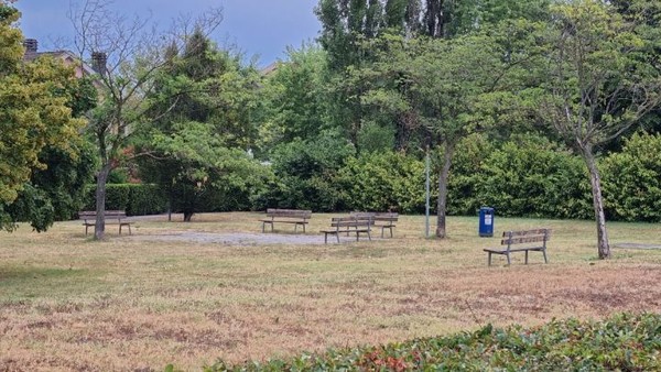 여유로워 보이는 공원의 벤치