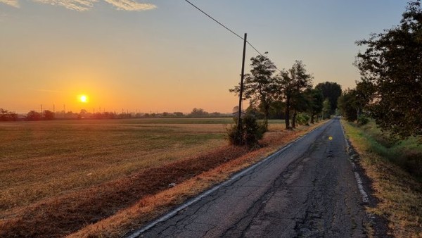 들판의 일출은 여전히 멋있다.