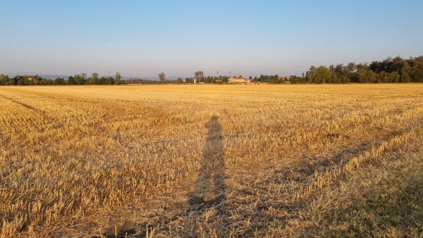 희미하게 난 농지를 가로질러, 정상적인 길로 접어든다. 새 길을 개척하는듯한 멋진 체험이다.