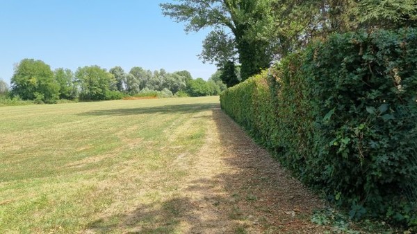 지도로 보고, 걷기 좋은 새 길을 개척(?)하기로 했다.  나란한 두 길을 연결하는 보이지 않는 루트가 농지안에 있을 것으로 짐작하면서~  과연 희미한 길이 있다. 앞서간 누군가가 걸어갔던 길이다.