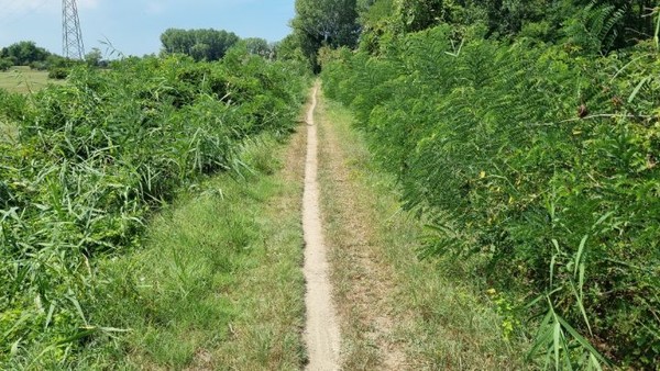 새로운 시도가 성공한 댓가로,