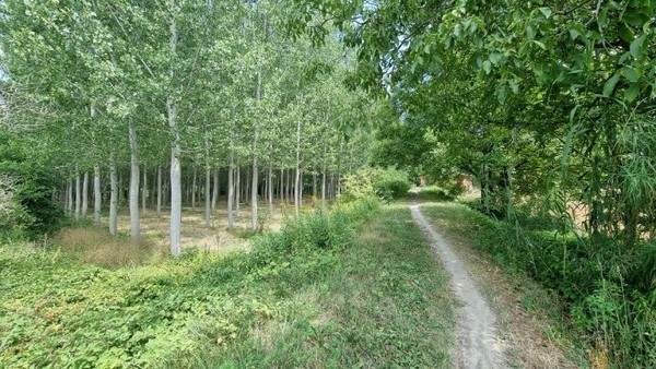 아름다운 숲속길을 걸으면서~