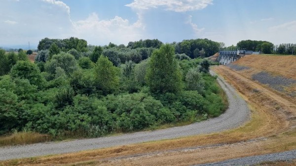 이런 범람원에 상류로부터 흘러온 빗물을 담아 수력발전을 하는 비어있는 댐이자 범람원이다.