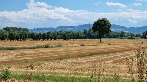이런 아름다운 국토, 그리고 인류의 삶은 그냥 내려온 게 아니다.