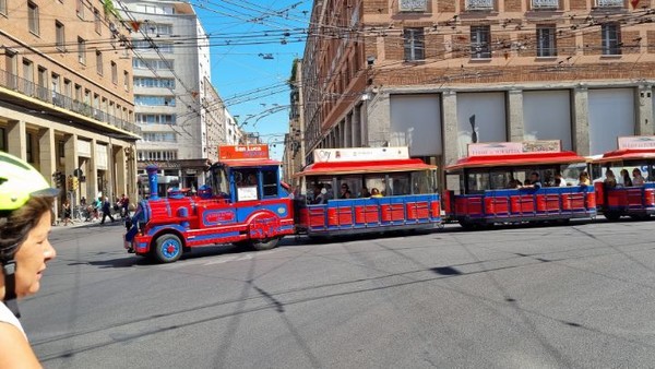 도심을 가로지르는 관광열차.