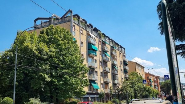 숙소에 다가갈 무렵 보이는 주거용 건물. 옥상을 숲처럼 가꾸고 있다.