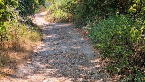 옛날 로마인들도 다녔음직한 길로 접어든다.