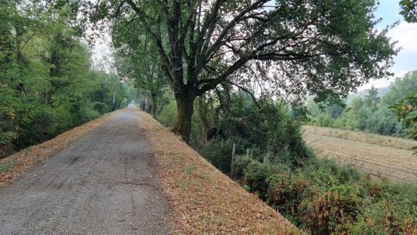 거의 5~6km를 강변 둑길로 걷는다. 강물이 흐르는 장면은 나무가 우거져서 보지 못한다.