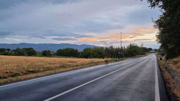 들판길로 접어든다.