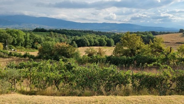 토스카나지방의 아지자기한 지형의 농촌풍경. 한국과 닮은 부분이 있다.