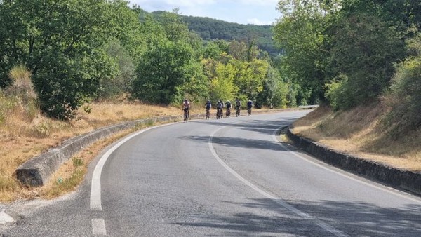 이번에는 한 무리가 다가온다.
