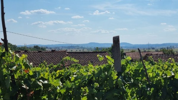 그날 오후 3시경 23km지점에 있는 예정숙소에 도착했다. 문제는 여기서 발생했다. 예정이라고는 하지만 인터넷으로 예약한 것은 아니다. 전화로는 영어가 통하지 않아서 필자가 잠정적으로 잡아둔 곳이었다. 하지만 오산이었다. 하필 이날 휴업이다. 여기는 외진 곳이어서 휴대폰인터넷도 불통이다. 일종의 위기다.