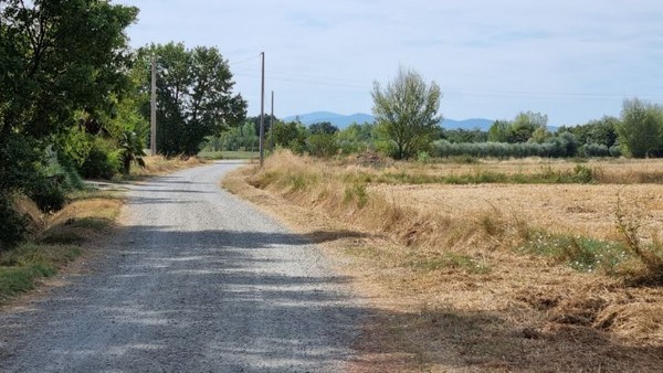 호수로 가는 호젓한 길로 접어들었다.