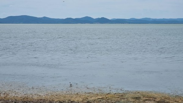 이윽고 커다란 호수를 만난다.