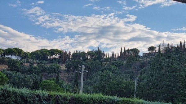 산등성이 능선따라 서있는 나무들이 볼만하다.