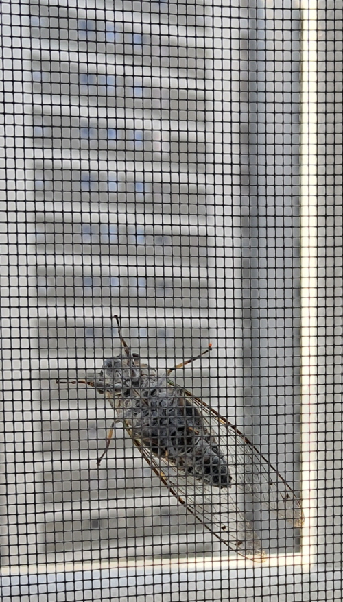 창문 사이로 들어 오는 가을