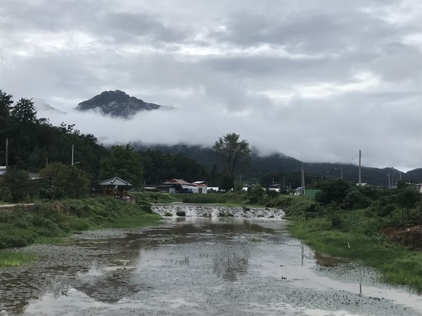 온종일 지붕을 두드리던 빗줄기가 잦아들면서 집 앞 월성천으로 나갔습니다. 월성천과 마을이 세수한 듯 말끔하고, 두륜산은 목도리를 두르고 있는 것 같습니다.