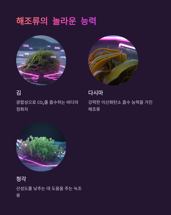 이미지 김인수 / 체험과학 창작실험 [ 바닷속 슈퍼히어로, 김과 다시마가 산성화를 막는다 ]에 대한 간략한 설명을 한 GAMMA의 URL 화면을 캡쳐한 그림