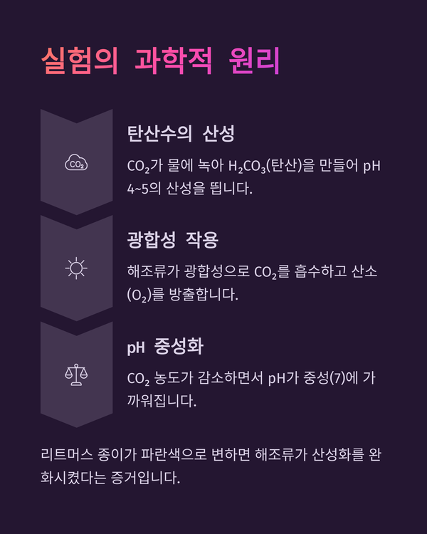 이미지 김인수 / 체험과학 창작실험 [ 바닷속 슈퍼히어로, 김과 다시마가 산성화를 막는다 ]에 대한 간략한 설명을 한 GAMMA의 URL 화면을 캡쳐한 그림
