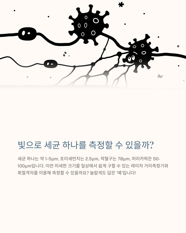 AI GAMMA가 정리한 이 실험의 해설과 재현 순서