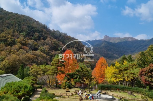   완주 대아수목원(필자촬영)