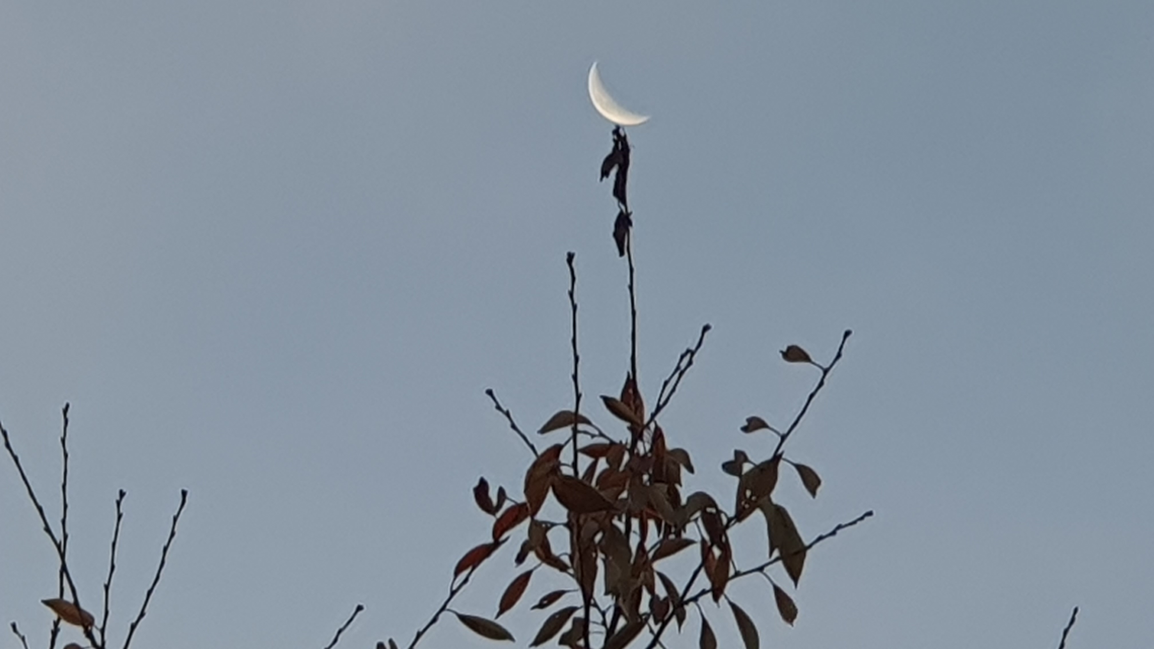 ​2025년 11월 15일(음 9월 26일) 07시08분