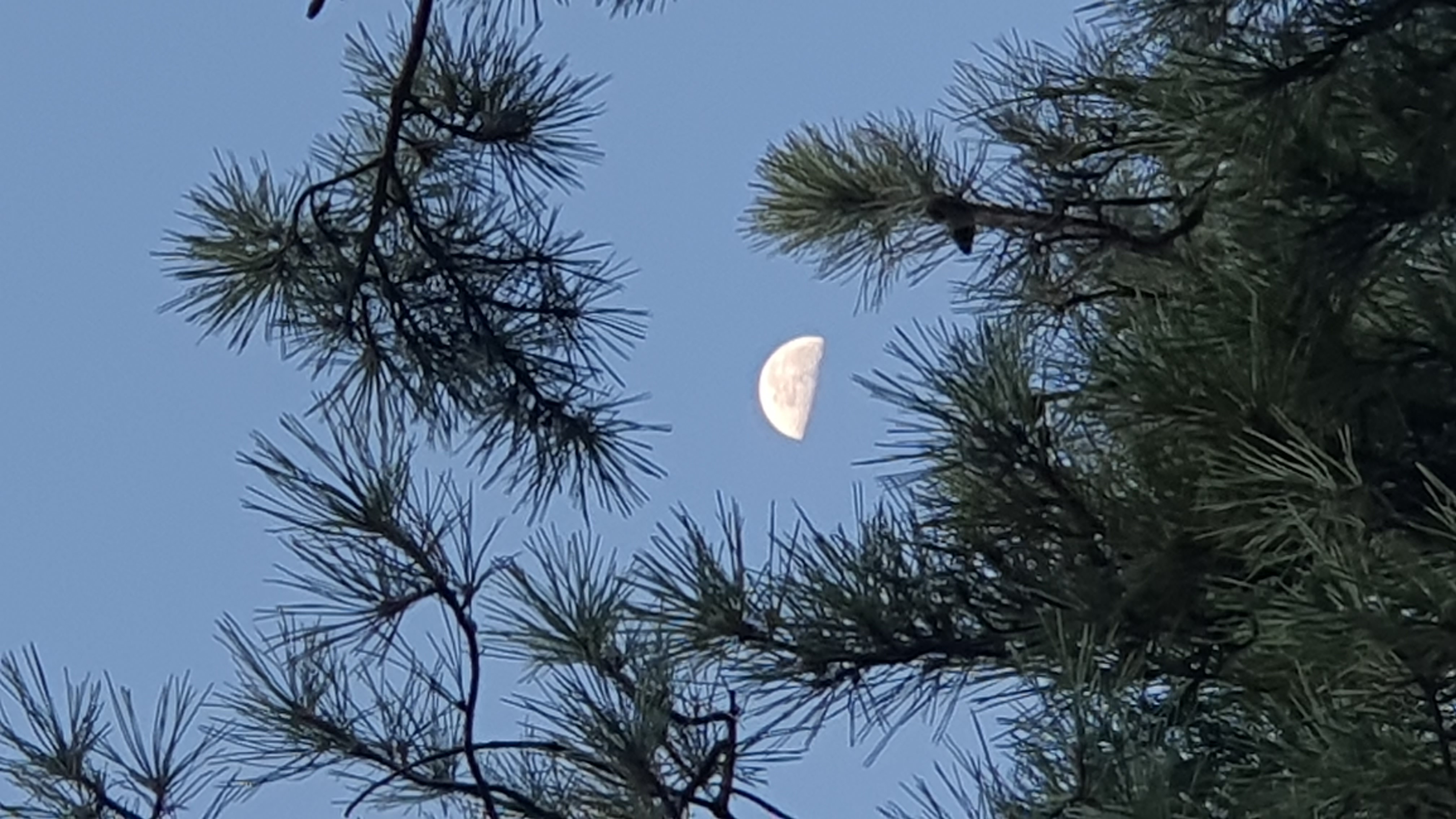 2025년 11월 12일(음 9월 23일) 07시 07분