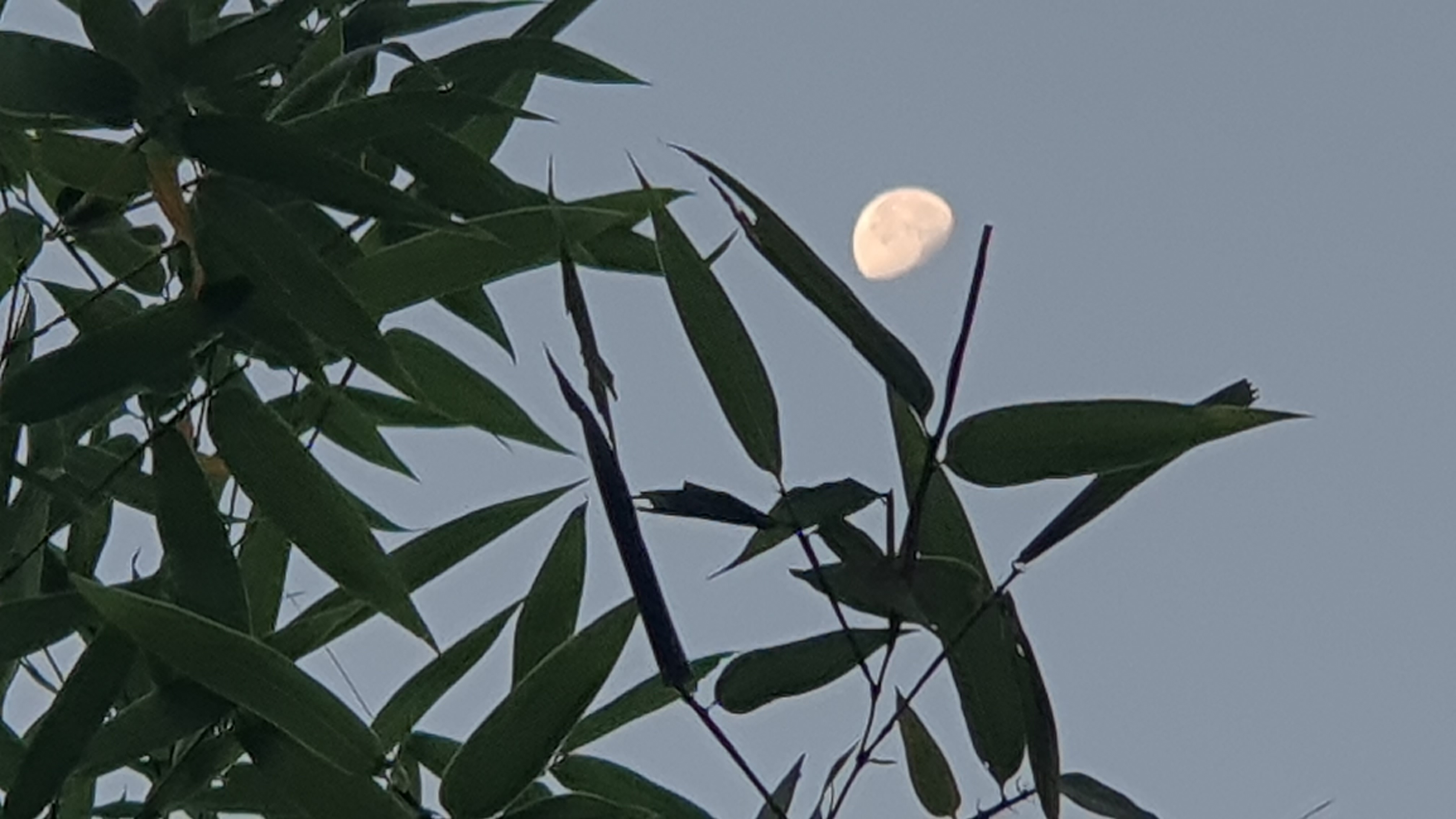 2025년 11월 10일(음 9월 21일)  07시 23분