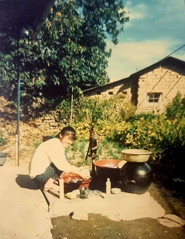 감나무가 있는 고향집 풍경. 어린 시절 저 감나무에 오르는 걸 좋아했다. (c) 권말선