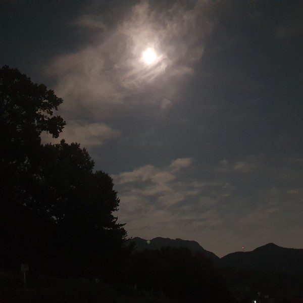 (출처 : 김백정은)