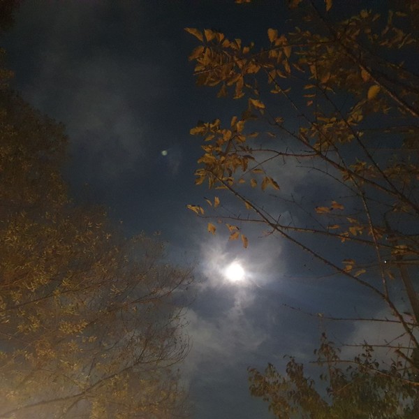 (출처 : 김백정은)