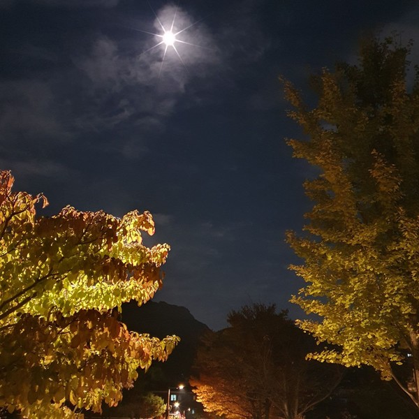 (출처 : 김백정은)