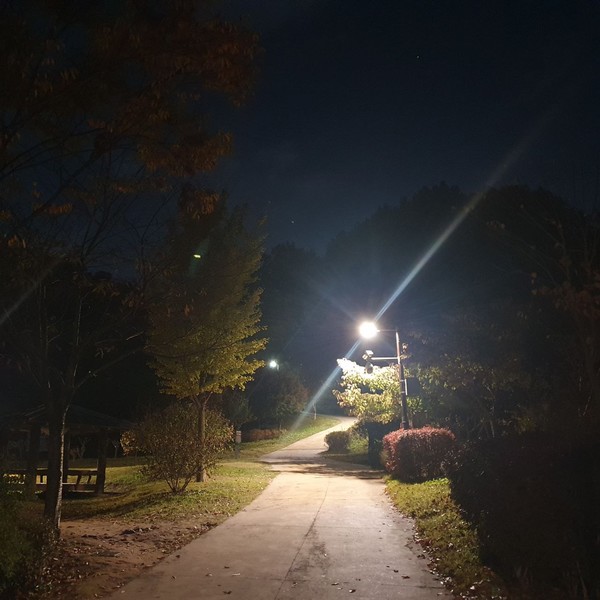 (출처 : 김백정은)