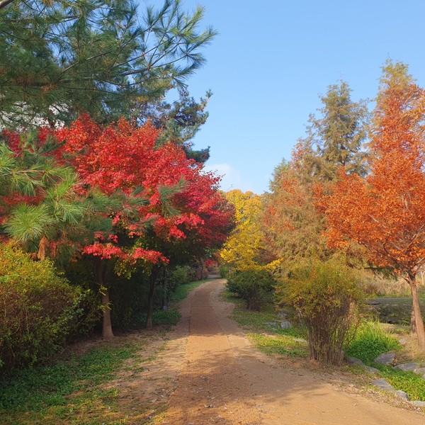 (출처 : 김백정은)